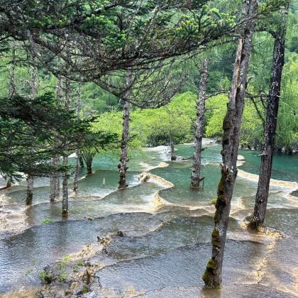 成都+九寨沟风景区+黄龙风景名胜区+都江堰5日4晚私家团 成都+九寨沟风景区+黄龙风景名胜区+都江堰5日4晚私家团