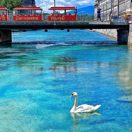 苏黎世+卢塞恩+因特拉肯+采尔马特+日内瓦10日8晚私家团 苏黎世+卢塞恩+因特拉肯+采尔马特+日内瓦10日8晚私家团