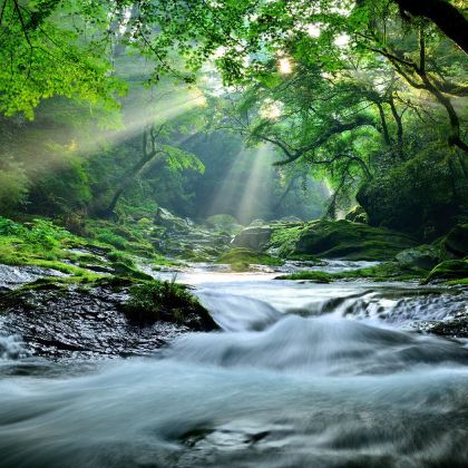 日本福冈+熊本+别府6日5晚私家团 日本福冈+熊本+别府6日5晚私家团