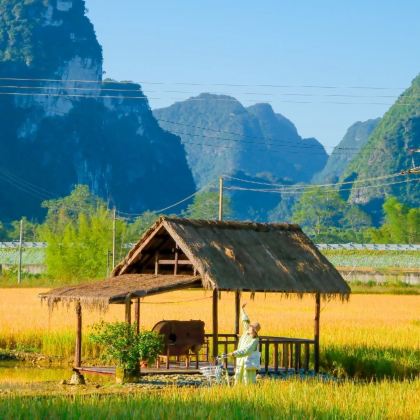 广西南宁+德天跨国瀑布景区+明仕田园+通灵大峡谷+北海+涠洲岛7日6晚拼小团 广西南宁+德天跨国瀑布景区+明仕田园+通灵大峡谷+北海+涠洲岛7日6晚拼小团