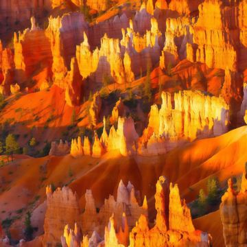 纽约+波士顿+华盛顿10日7晚跟团游 纽约+波士顿+华盛顿10日7晚跟团游