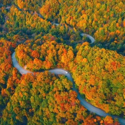 成都+阆中古城+光雾山旅游景区+米仓山国家森林公园+三星堆博物馆5日4晚私家团 成都+阆中古城+光雾山旅游景区+米仓山国家森林公园+三星堆博物馆5日4晚私家团