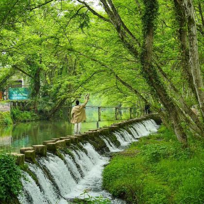 黄山风景区+婺源篁岭4日3晚自由行 黄山风景区+婺源篁岭4日3晚自由行