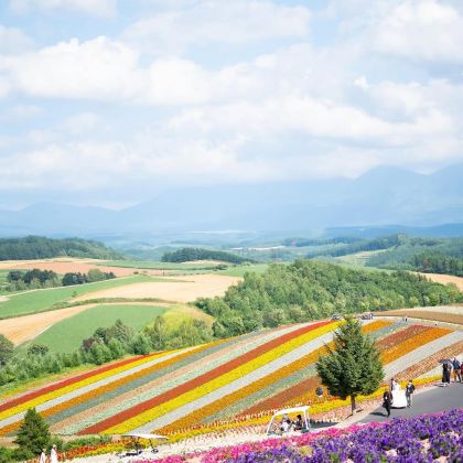 日本北海道6日5晚私家团 日本北海道6日5晚私家团