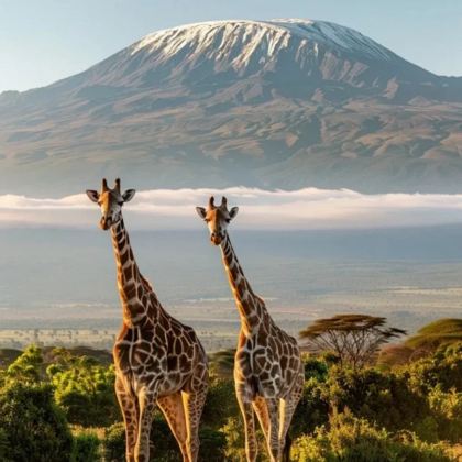 肯尼亚内罗毕+马赛马拉国家公园+安博塞利国家公园10日7晚跟团游 肯尼亚内罗毕+马赛马拉国家公园+安博塞利国家公园10日7晚跟团游