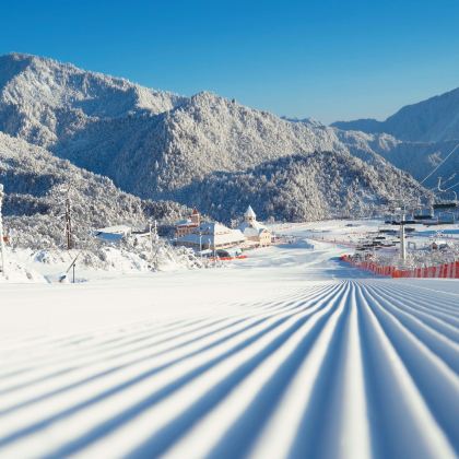 成都+西岭雪山4日3晚私家团