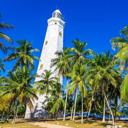 斯里兰卡5日4晚私家团 斯里兰卡5日4晚私家团