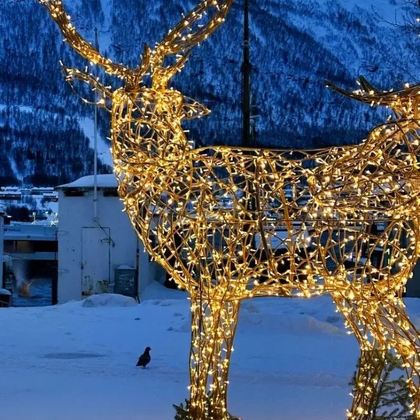 芬兰8日7晚私家团 芬兰8日7晚私家团
