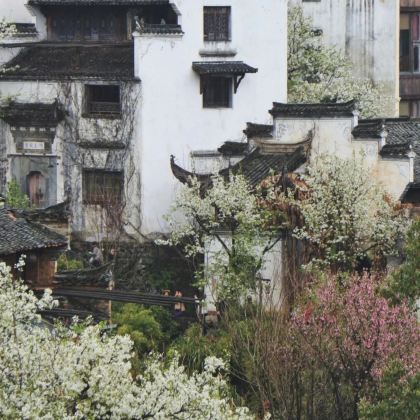 历史人文• 婺源景德镇秋季5日游学亲子营(可单飞),探千年古窑、走徽饶古道、画油伞、绘青花、捏陶器、玩晒秋,秋色婺源 ,瓷都问道 历史人文• 婺源景德镇秋季5日游学亲子营(可单飞),探千年古窑、走徽饶古道、画油伞、绘青花、捏陶器、玩晒秋,秋色婺源 ,瓷都问道
