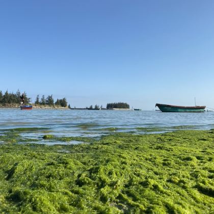 海南文昌2日1晚私家团 海南文昌2日1晚私家团