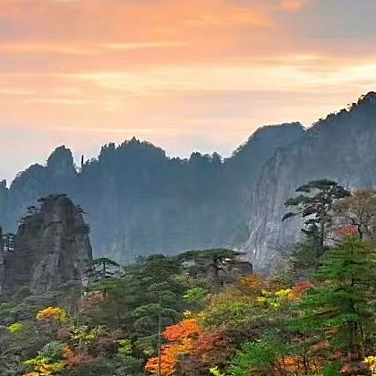 黄山+黄山风景区3日2晚自由行 黄山+黄山风景区3日2晚自由行