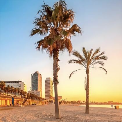 西班牙9日私家团 西班牙9日私家团