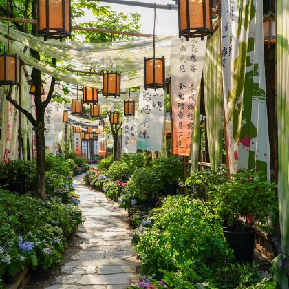 江西望仙谷+葛仙村度假区+婺源4日3晚跟团游 江西望仙谷+葛仙村度假区+婺源4日3晚跟团游
