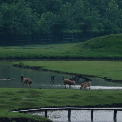 北固山+西津渡历史文化街区+天宁寺+青果巷+李中水上森林公园6日5晚私家团 北固山+西津渡历史文化街区+天宁寺+青果巷+李中水上森林公园6日5晚私家团