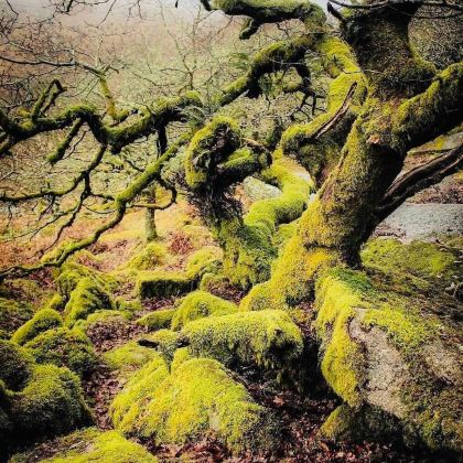 英国伦敦+伯恩矛斯+埃克塞特+巴斯+康瓦尔郡11日10晚拼小团 英国伦敦+伯恩矛斯+埃克塞特+巴斯+康瓦尔郡11日10晚拼小团