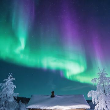 哈尔滨+漠河+北极村6日5晚私家团 哈尔滨+漠河+北极村6日5晚私家团