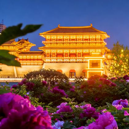 河南郑州+开封+洛阳+老君山景区+少林寺+龙门石窟5日4晚私家团 河南郑州+开封+洛阳+老君山景区+少林寺+龙门石窟5日4晚私家团