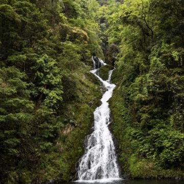 井冈山4日3晚自由行 井冈山4日3晚自由行