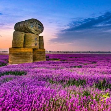 新疆乌鲁木齐+伊犁+昭苏+赛里木湖+那拉提9日8晚私家团 新疆乌鲁木齐+伊犁+昭苏+赛里木湖+那拉提9日8晚私家团