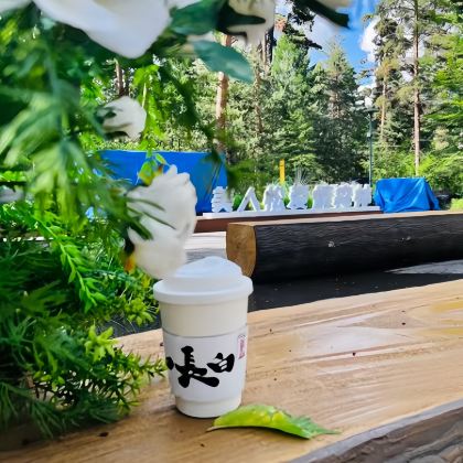 长白山+哈尔滨6日5晚私家团 长白山+哈尔滨6日5晚私家团