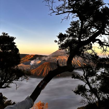 印度尼西亚巴厘省+布罗莫火山+泗水+佩妮达岛5日4晚跟团游 印度尼西亚巴厘省+布罗莫火山+泗水+佩妮达岛5日4晚跟团游