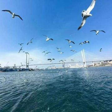 俄罗斯海参崴+托卡列夫斯基灯塔+托比津纳海角4日3晚自由行 俄罗斯海参崴+托卡列夫斯基灯塔+托比津纳海角4日3晚自由行