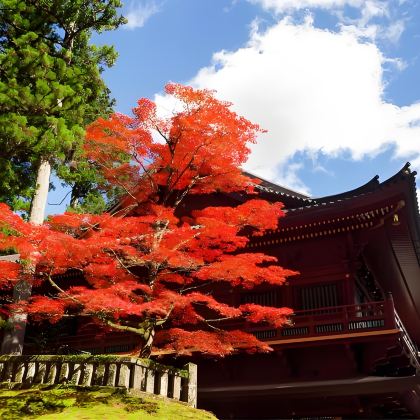 日本东京+富士山+箱根+日光市7日6晚拼小团 日本东京+富士山+箱根+日光市7日6晚拼小团