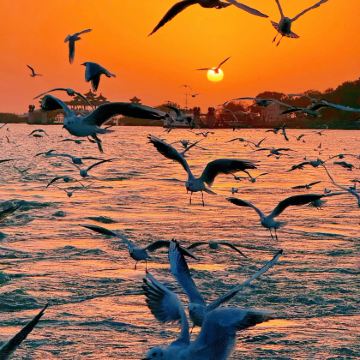 无锡+清名桥古运河景区+无锡市太湖鼋头渚风景区4日3晚私家团 无锡+清名桥古运河景区+无锡市太湖鼋头渚风景区4日3晚私家团