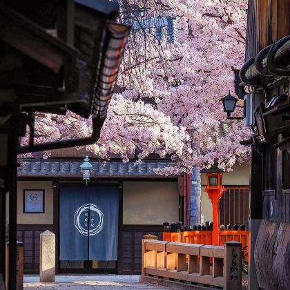 日本大阪府+京都府+神户4日3晚私家团 日本大阪府+京都府+神户4日3晚私家团