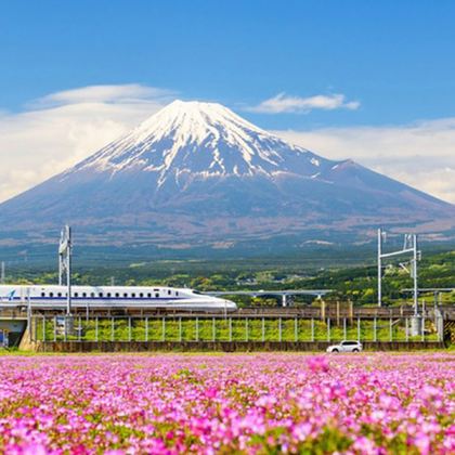 日本大阪+东京7日6晚自由行 日本大阪+东京7日6晚自由行