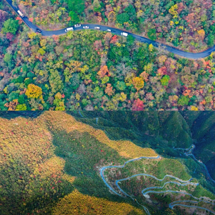 桃花潭+查济+水墨汀溪风景区+月亮湾风景区3日2晚私家团 桃花潭+查济+水墨汀溪风景区+月亮湾风景区3日2晚私家团