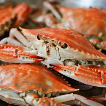 舟山+朱家尖观音法界+普陀山3日2晚私家团 舟山+朱家尖观音法界+普陀山3日2晚私家团