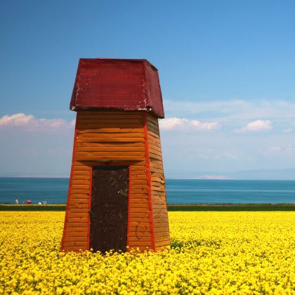 青海湖景区+茶卡盐湖+祁连5日4晚自由行 青海湖景区+茶卡盐湖+祁连5日4晚自由行