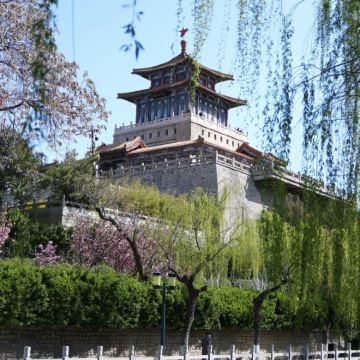 青岛+崂山风景区+济南+淄博+潍坊10日9晚跟团游 青岛+崂山风景区+济南+淄博+潍坊10日9晚跟团游