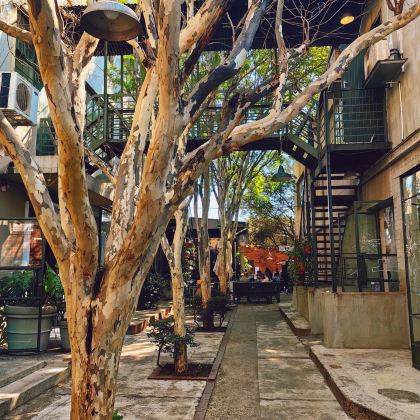 南非10日8晚私家团 南非10日8晚私家团