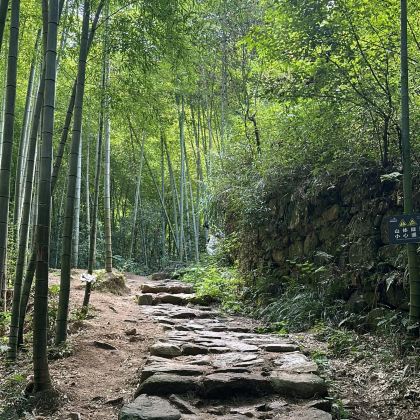 莫干山风景名胜区+莫干山开元森泊度假乐园4日3晚私家团 莫干山风景名胜区+莫干山开元森泊度假乐园4日3晚私家团