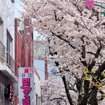 韩国釜山6日5晚拼小团 韩国釜山6日5晚拼小团