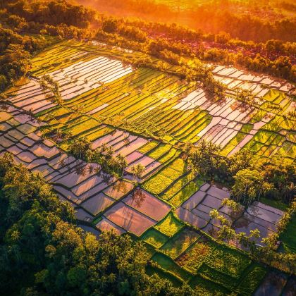 印度尼西亚巴厘岛7日6晚私家团 印度尼西亚巴厘岛7日6晚私家团