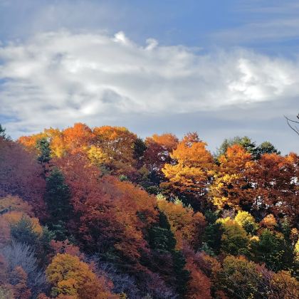 汉中+留坝+佛坪熊猫谷旅游区4日3晚私家团 汉中+留坝+佛坪熊猫谷旅游区4日3晚私家团