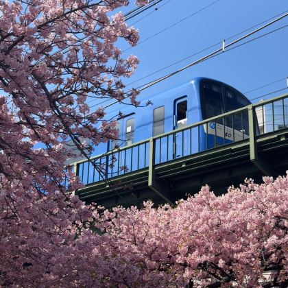 日本东京+盛冈+花卷市6日5晚私家团 日本东京+盛冈+花卷市6日5晚私家团