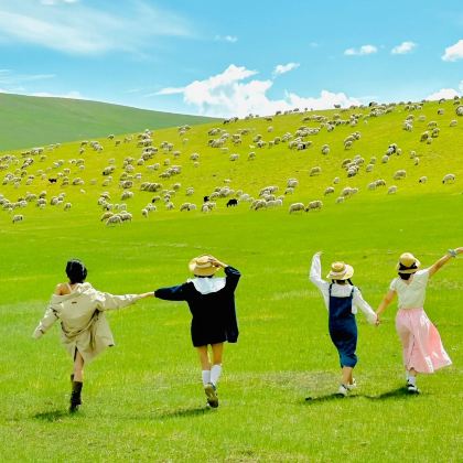 秦皇岛+北戴河+承德+乌兰布统旅游区+木兰围场+坝上5日4晚私家团 秦皇岛+北戴河+承德+乌兰布统旅游区+木兰围场+坝上5日4晚私家团