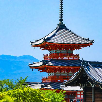 日本大阪+京都6日5晚私家团 日本大阪+京都6日5晚私家团