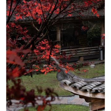 三明+泰宁金湖+上清溪漂流2日1晚私家团 三明+泰宁金湖+上清溪漂流2日1晚私家团