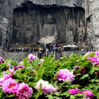 洛阳+老君山景区+龙门石窟+白马寺+洛阳博物馆3日2晚跟团游 洛阳+老君山景区+龙门石窟+白马寺+洛阳博物馆3日2晚跟团游