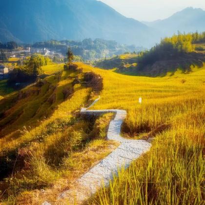 丽水+松阳+古堰画乡景区+云和梯田景区+刘伯温故里景区·百丈漈4日3晚私家团 丽水+松阳+古堰画乡景区+云和梯田景区+刘伯温故里景区·百丈漈4日3晚私家团
