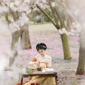 南京+扬州+泰州+无锡4日3晚跟团游 南京+扬州+泰州+无锡4日3晚跟团游