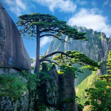 黄山+宏村+西递5日4晚私家团 黄山+宏村+西递5日4晚私家团