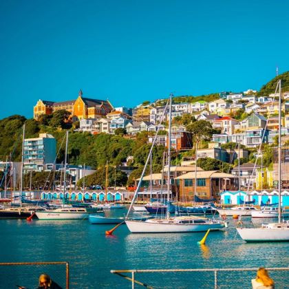 新西兰北岛6日5晚跟团游 新西兰北岛6日5晚跟团游