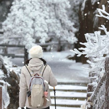 莽山五指峰景区+云冰山旅游景区2日1晚跟团游 莽山五指峰景区+云冰山旅游景区2日1晚跟团游