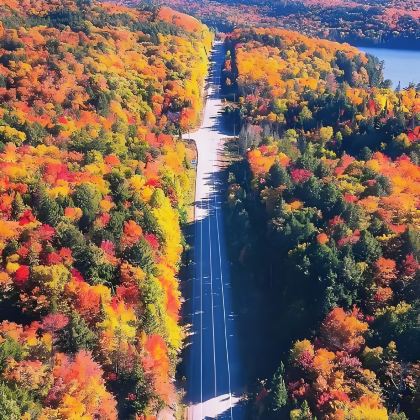 加拿大多伦多+尼亚加拉瀑布+金斯顿+蒙特利尔+魁北克城+渥太华+阿尔冈金省立公园8日7晚拼小团 加拿大多伦多+尼亚加拉瀑布+金斯顿+蒙特利尔+魁北克城+渥太华+阿尔冈金省立公园8日7晚拼小团